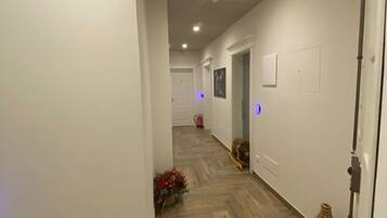 A hallway with wooden flooring, white walls, and recessed lighting. There are doors leading to other rooms, a small decorative plant, and a woven basket.