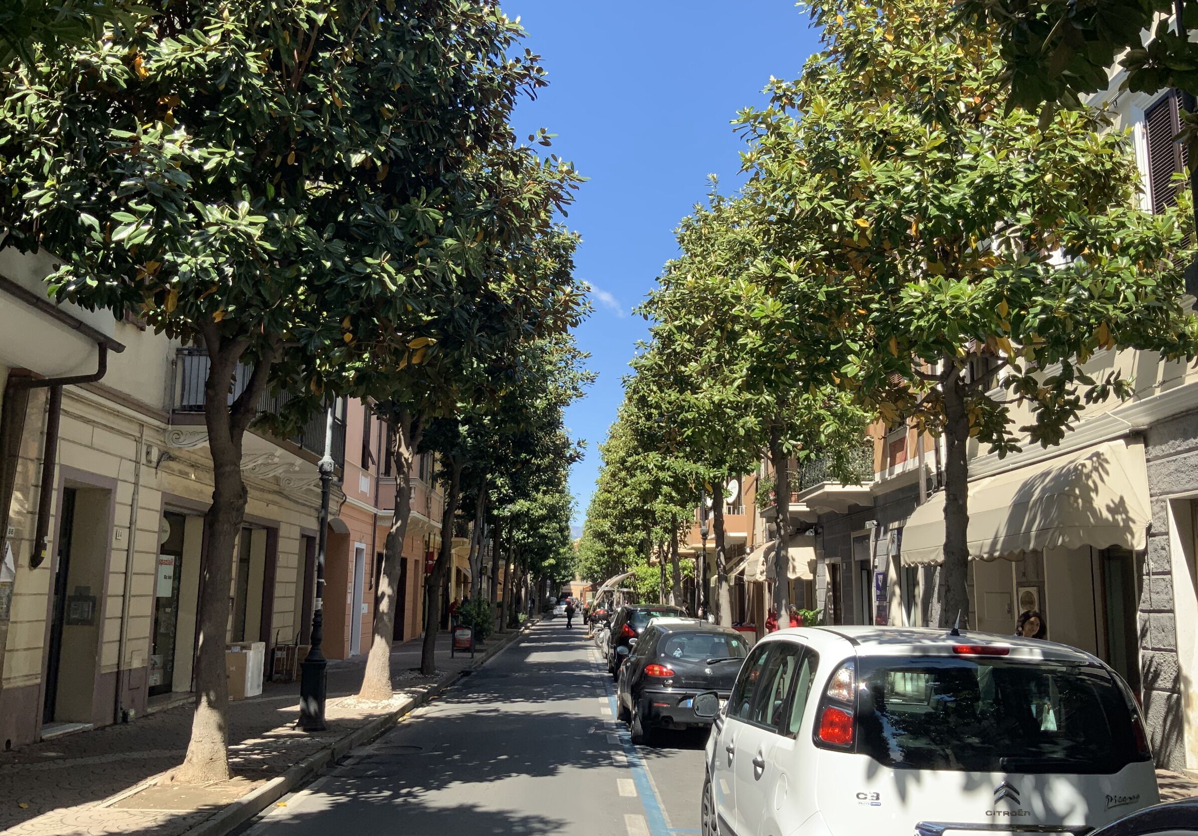 A narrow street lined with trees and parked cars.