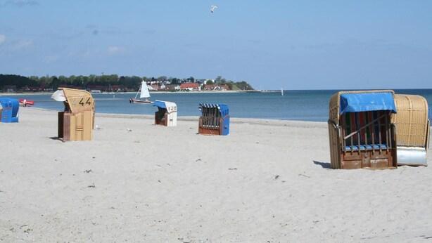 Una playa con sillas de playa y una fila de cabañas de playa numeradas.