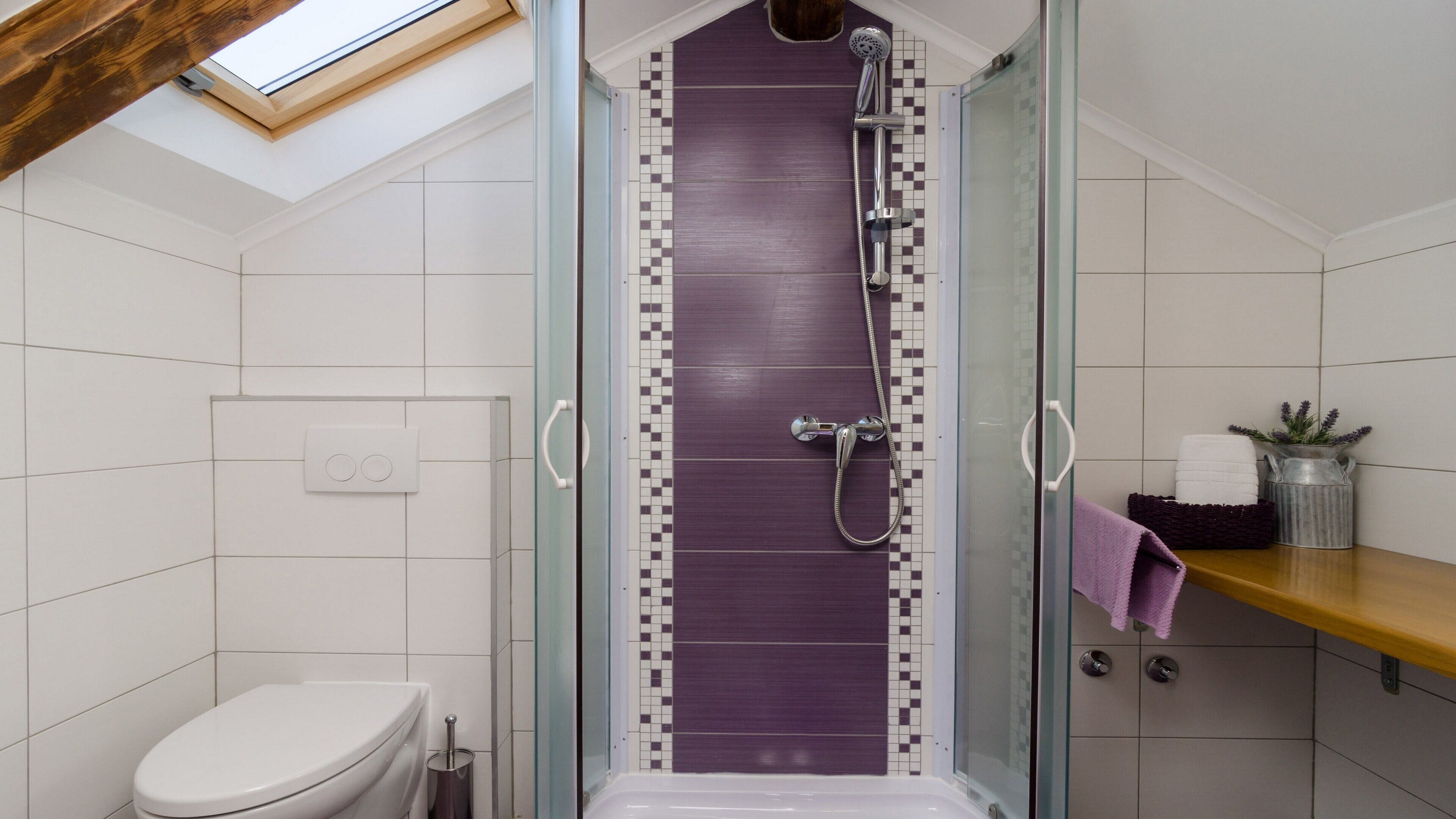 A shower with a glass door, a toilet, and a shelf with toiletries.