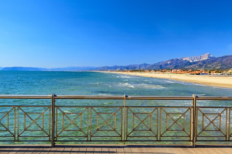 Una playa cerca, traslado desde/hacia la playa gratis, vóleibol de playa