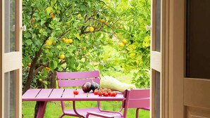 A pink outdoor table with a chair, surrounded by a garden with fruit trees and vegetables. - Masseria Gianferrante (Ugento)