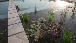 A swimming pool with a concrete edge, surrounded by water lilies and plants. - Masseria Gianferrante (Ugento)