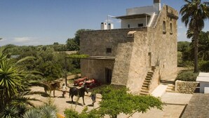A stone building with a staircase leading to a flat roof, surrounded by greenery and palm trees. - Masseria Gianferrante (Ugento)