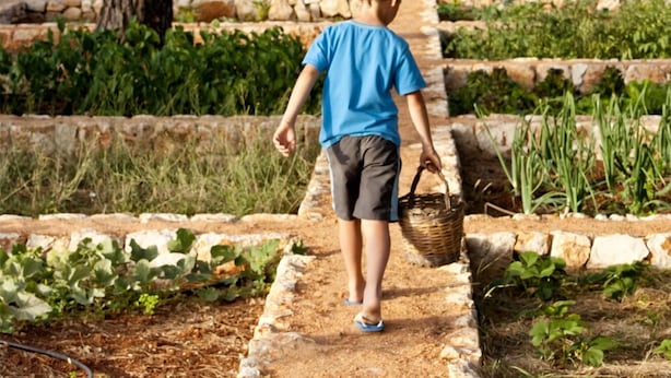 A child walking on a stone pathway in a garden. - Masseria Gianferrante (Ugento)