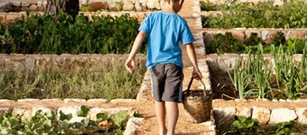 Masseria Gianferrante