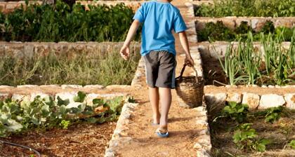 Masseria Gianferrante