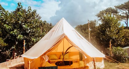 Star Surf Camps
