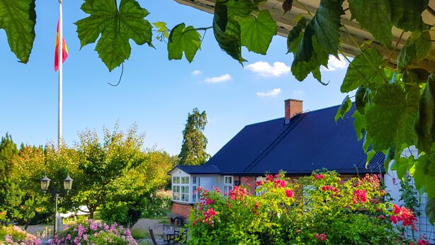 A garden with a gazebo, a flagpole, and a house with a blue roof. - Stora Herrestad Bed & Breakfast (Ystad)