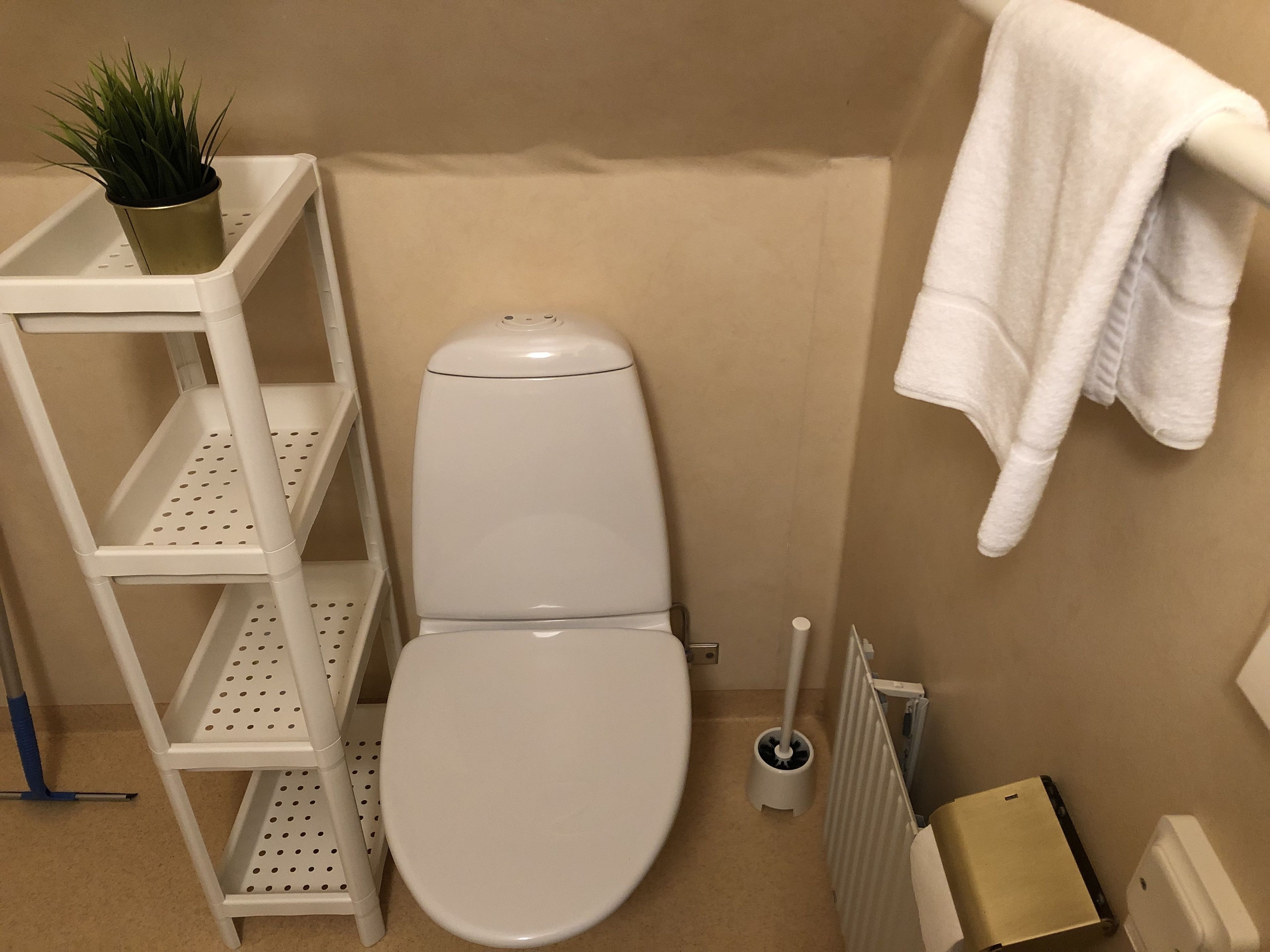 Une salle de bain avec des toilettes, une étagère sur laquelle est posée une plante en pot, un radiateur et une serviette accrochée au mur.