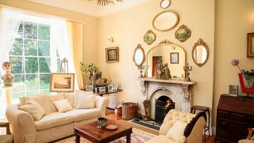 TV connectée, cheminée, livres, vidéothÚque