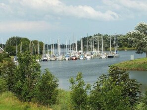 Un port de plaisance où de nombreux voiliers sont amarrés le long du quai, entouré de verdure et d’arbres.