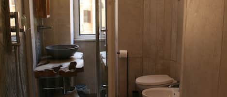 Shower, hair dryer, bidet, towels