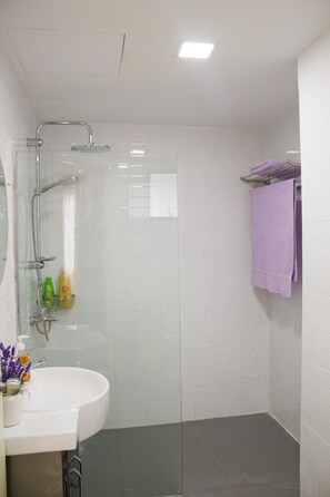 Regadera, secadora de cabello, bidet, toallas 