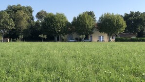 Una propiedad rural con un gran campo, una casa con techo de tejas y varios árboles.