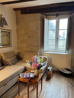 Télévision, lecteur de DVD, livres, médiathèque