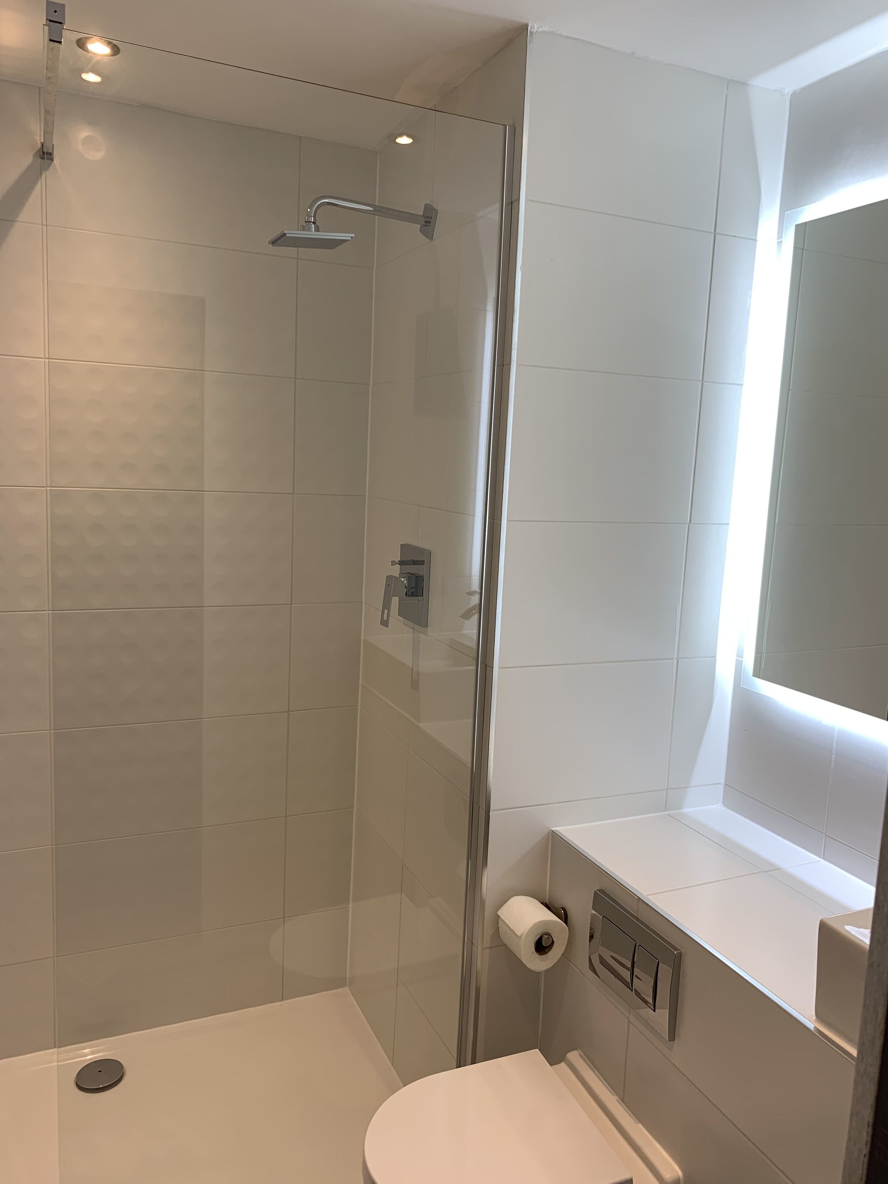 deluxe twin room | bathroom amenities | shower, rainfall showerhead, free toiletries, hair dryer