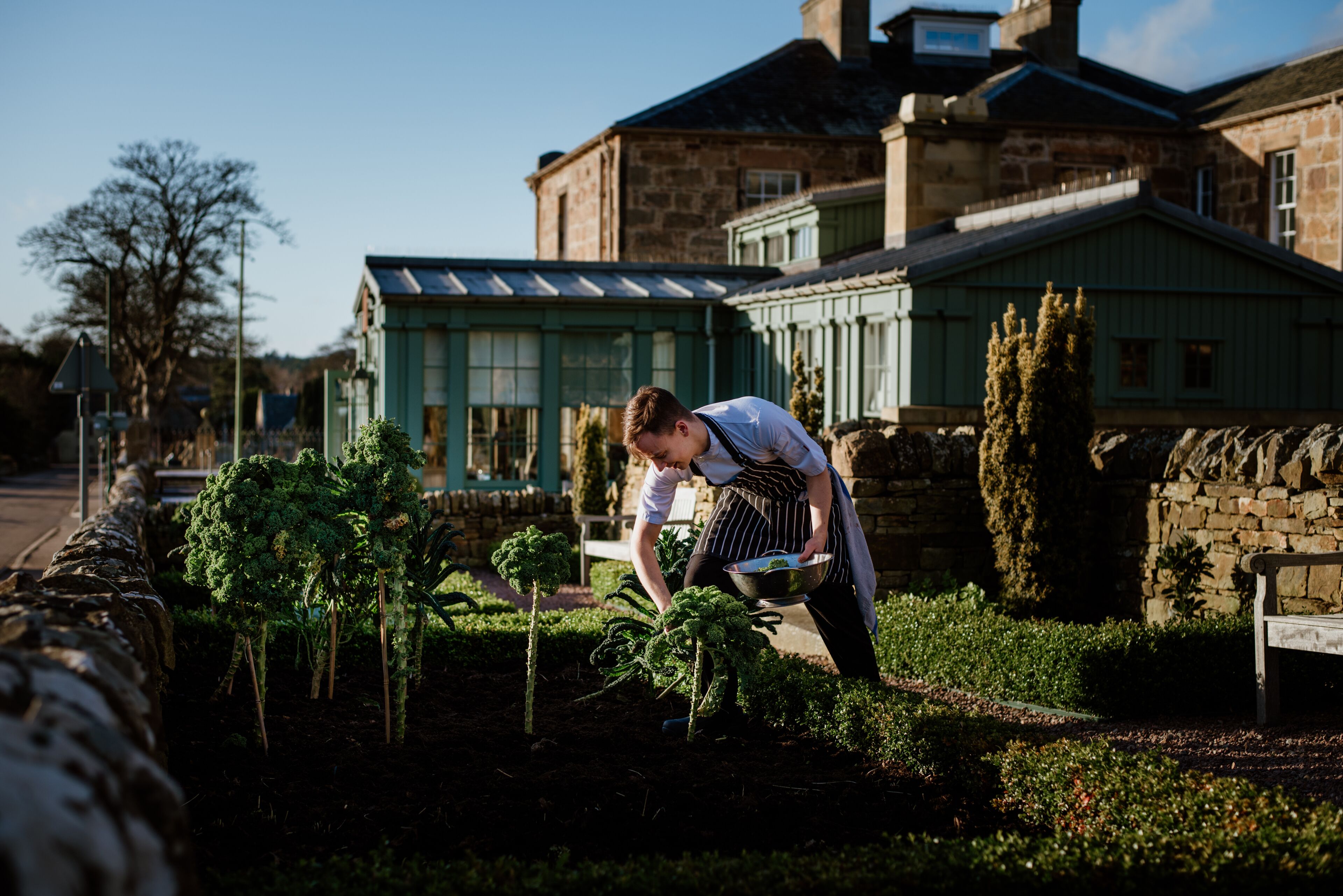 A person tending to plants in a garden area with stone walls and a building in the background.