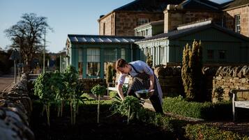 A person tending to plants in a garden area with stone walls and a building in the background.