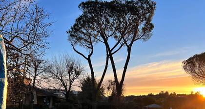 Villa Albina B&B