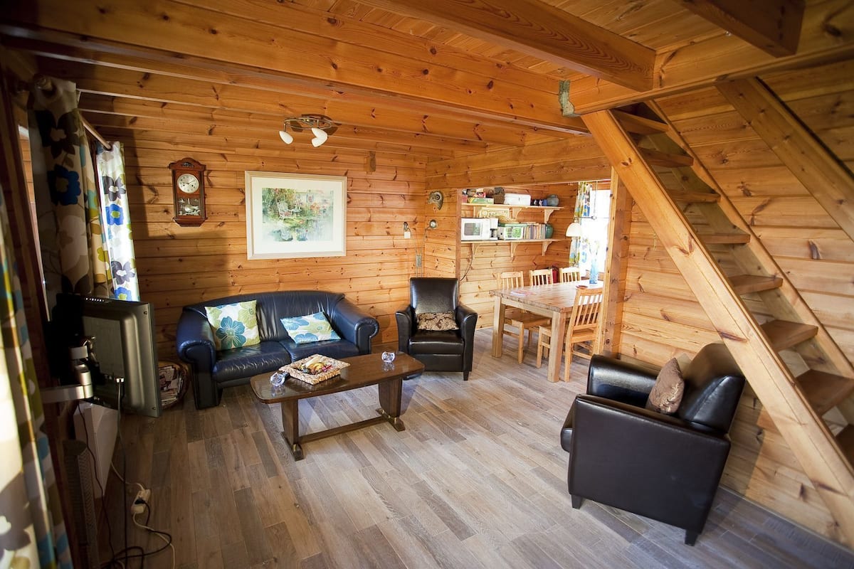 Chalet (Fins, 6 Guests) | Living room | Flat-screen TV