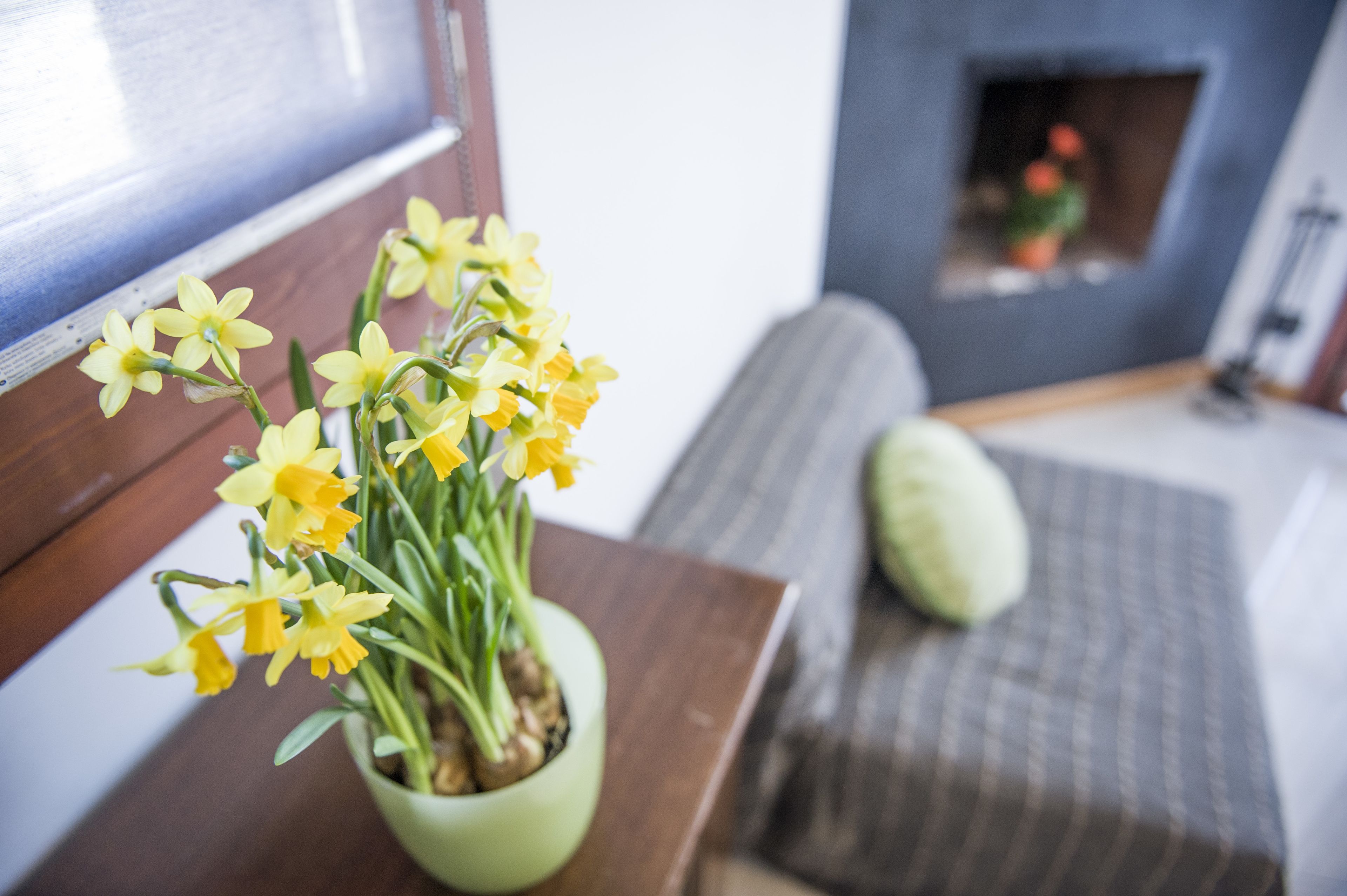 A room with a wooden bench, a green cushion, and a vase with yellow flowers.