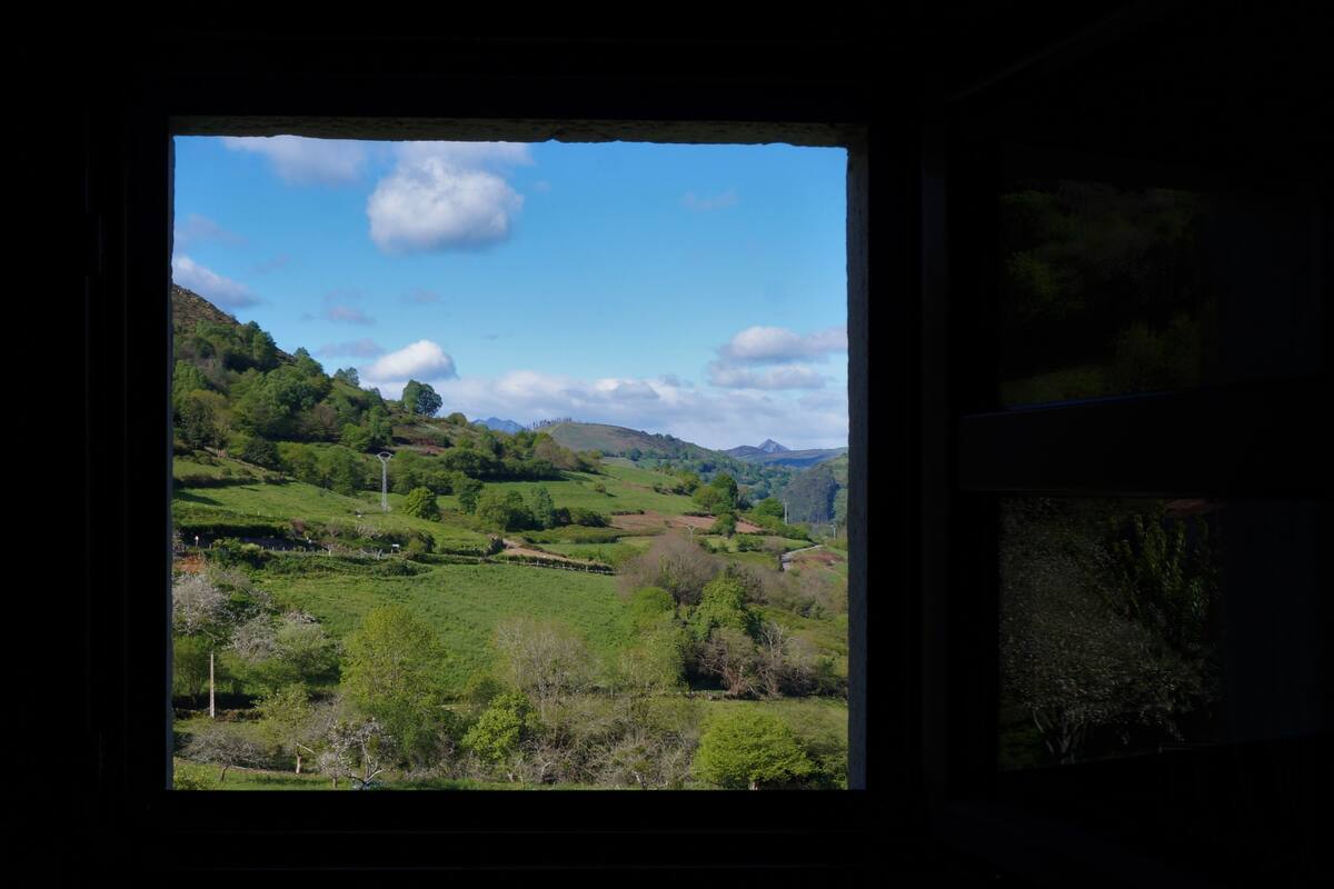 Double Room, 2 Single Beds | View from room