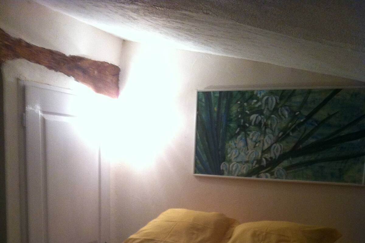 Chambre Double, 2 lits une place (Yuccas)