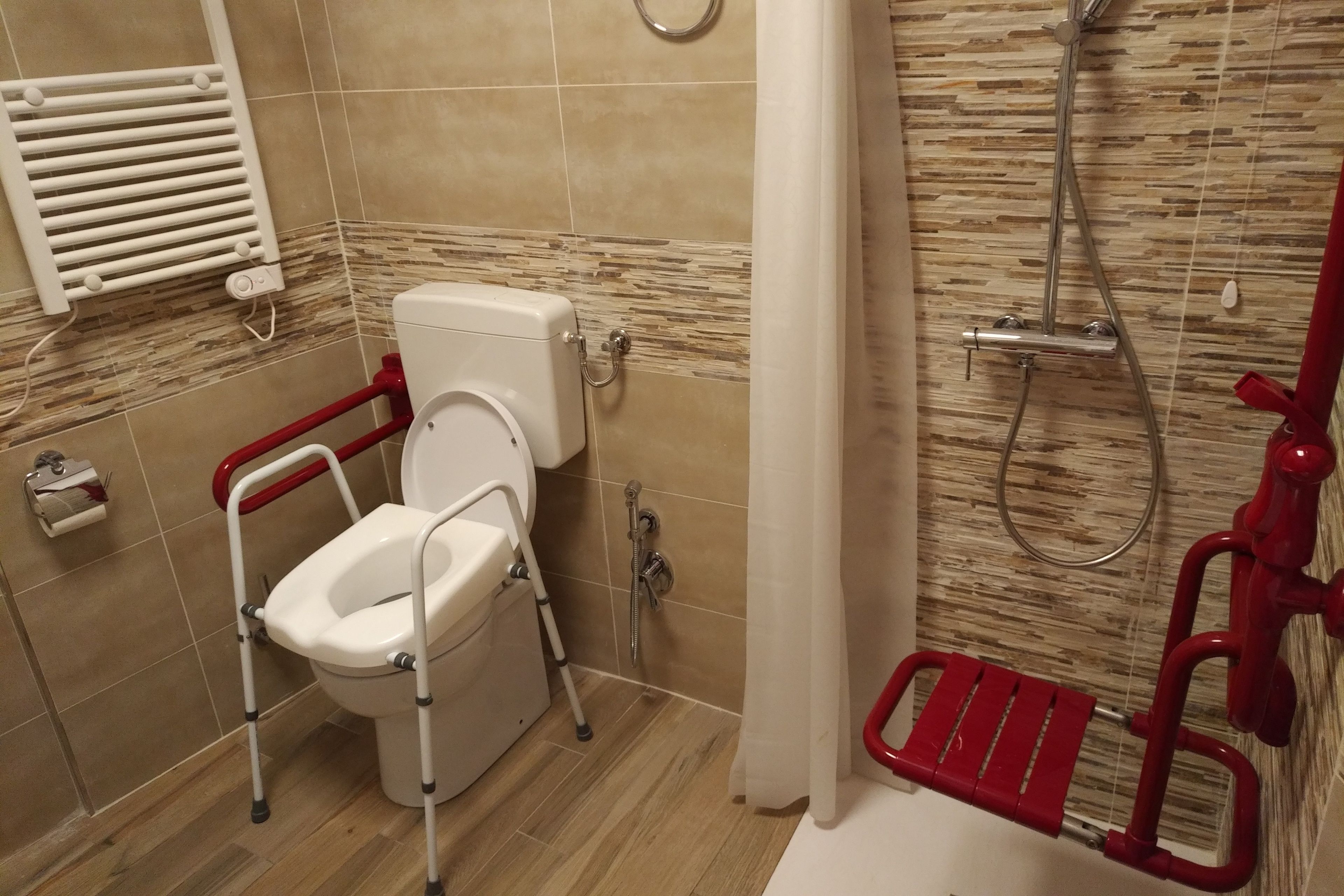 Un bagno con il water, doccia e maniglioni.