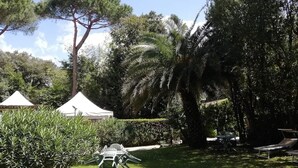 A garden with white tents, palm trees, and a lawn with outdoor furniture. - Hotel la Tavernetta dei Ronchi (Massa)