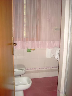 Shower, free toiletries, hair dryer, bidet