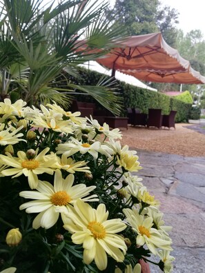 Un jardín con flores amarillas y una zona de estar bajo una sombrilla.