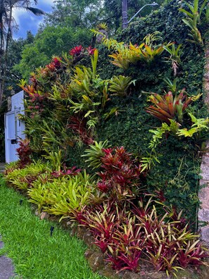 Garden - Casa Nostra Boutique Hotel (Paraty)