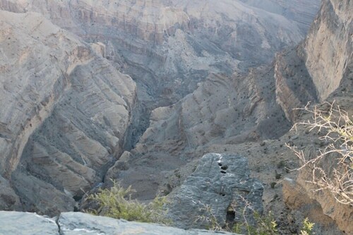 Abu Omair Jabal Shams Guesthouse