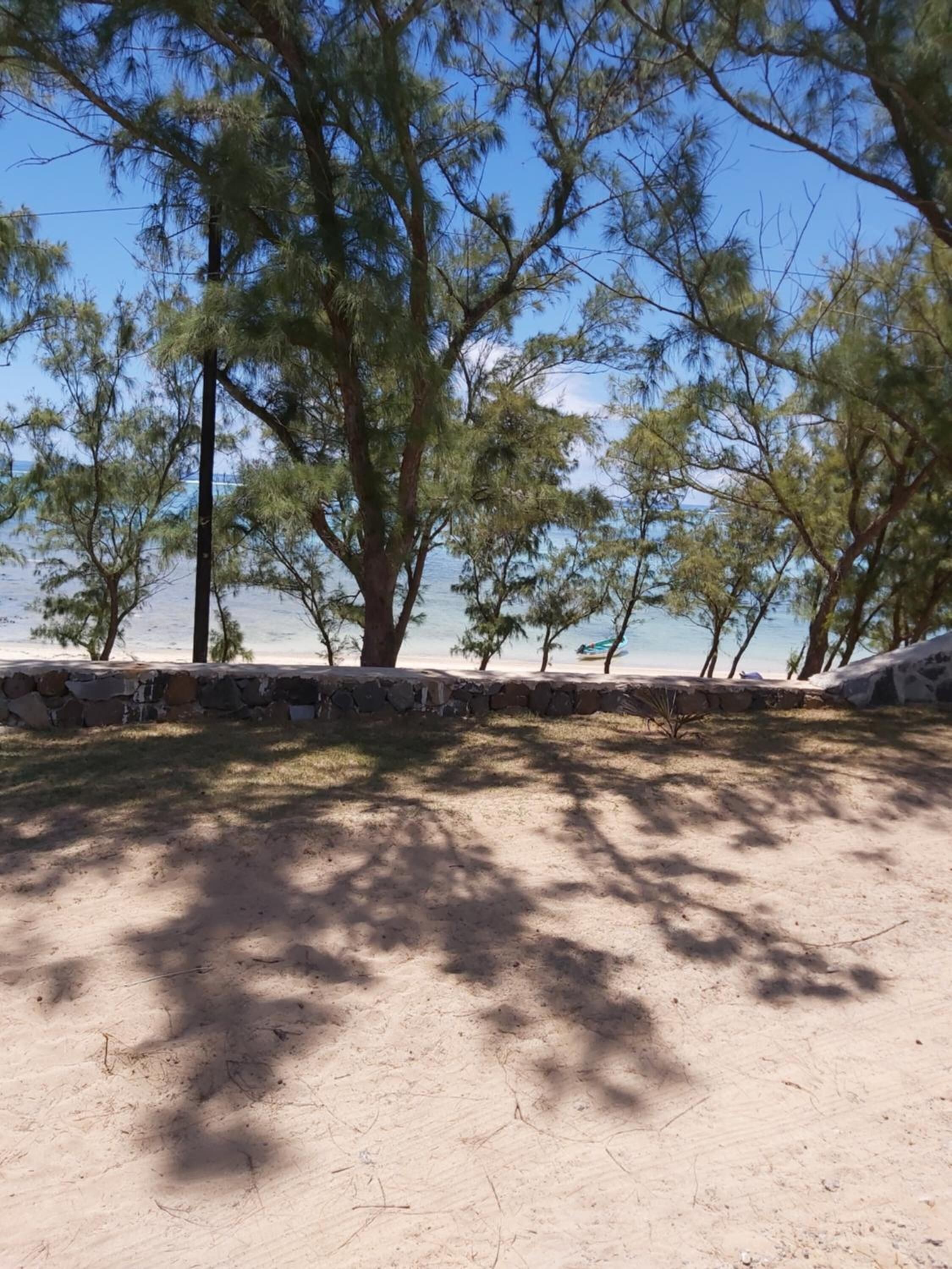 Ett sandigt strandområde med träd och en stenmur.
