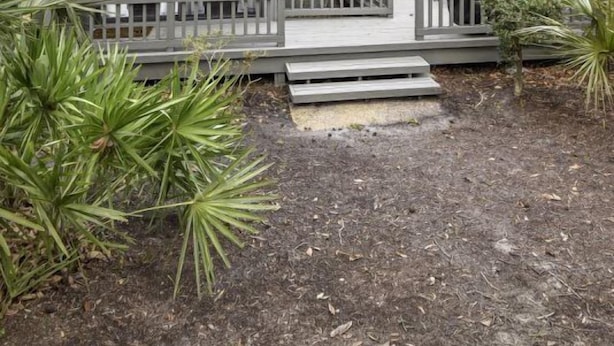 Front of property - Hickory Cove 52 (Hilton Head Island)