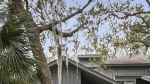 Property entrance - Hickory Cove 52 (Hilton Head Island)