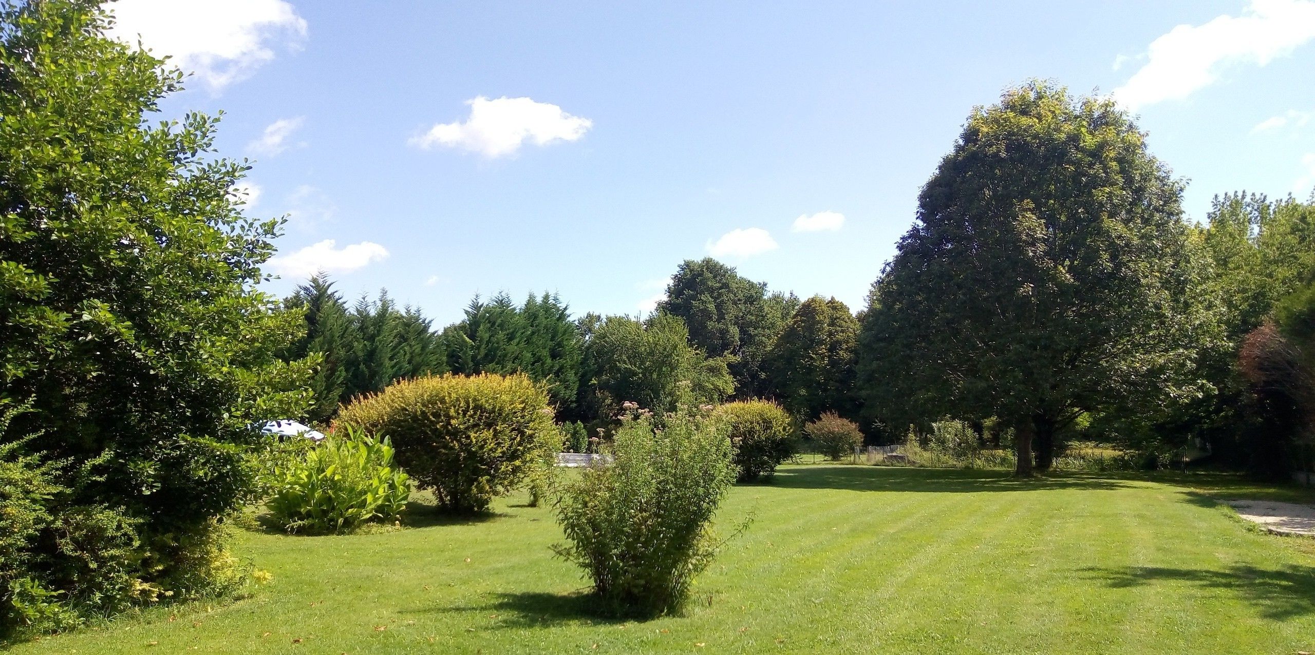 A well-maintained lawn with various shrubs and trees, a clear sky, and a pathway leading through the greenery.