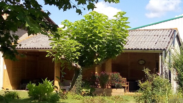 Una casa de madera con techo de metal corrugado, rodeada de vegetación exuberante y un pequeño jardín.