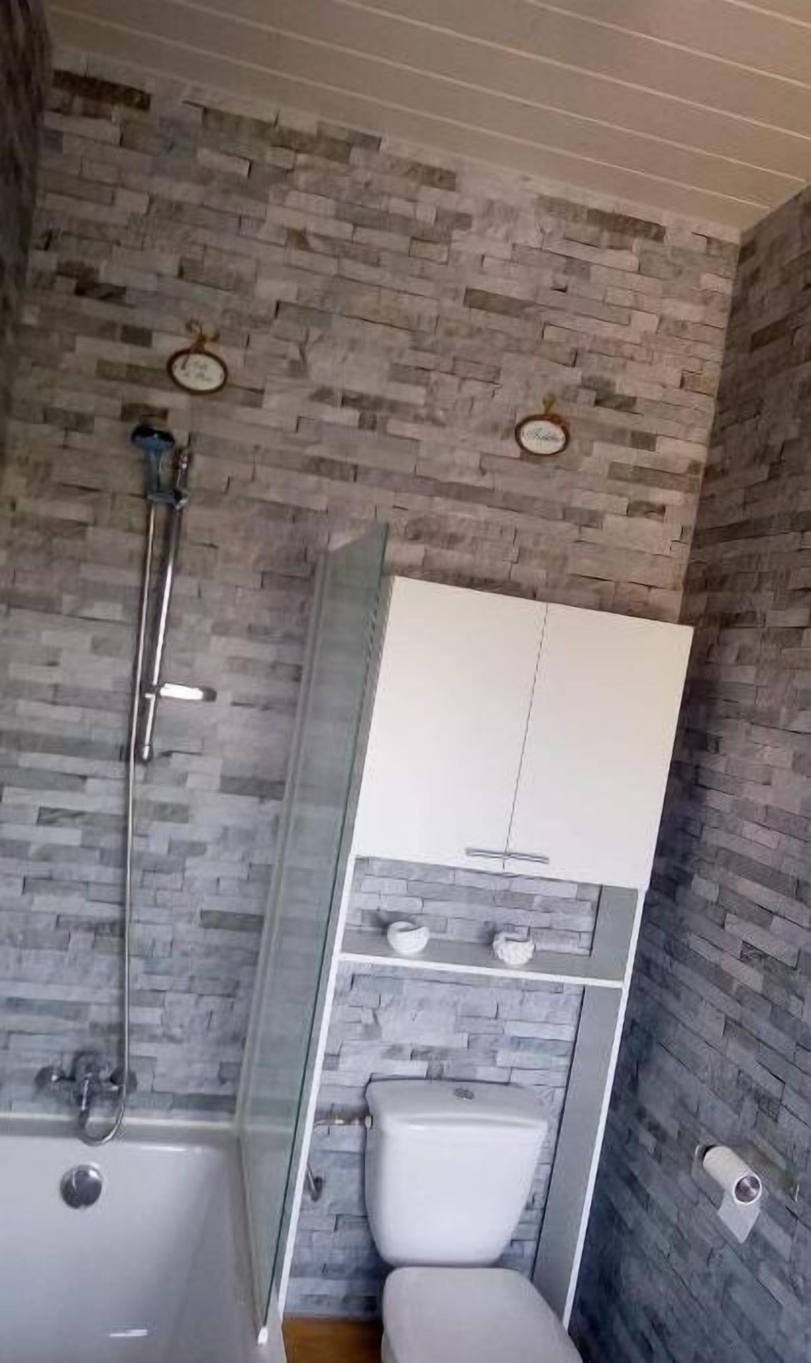 A bathroom with a shower, toilet, and a cabinet.