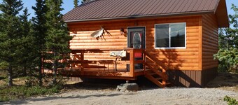Denali Wildlife Moose Cabin Luxury with a touch of Rustic