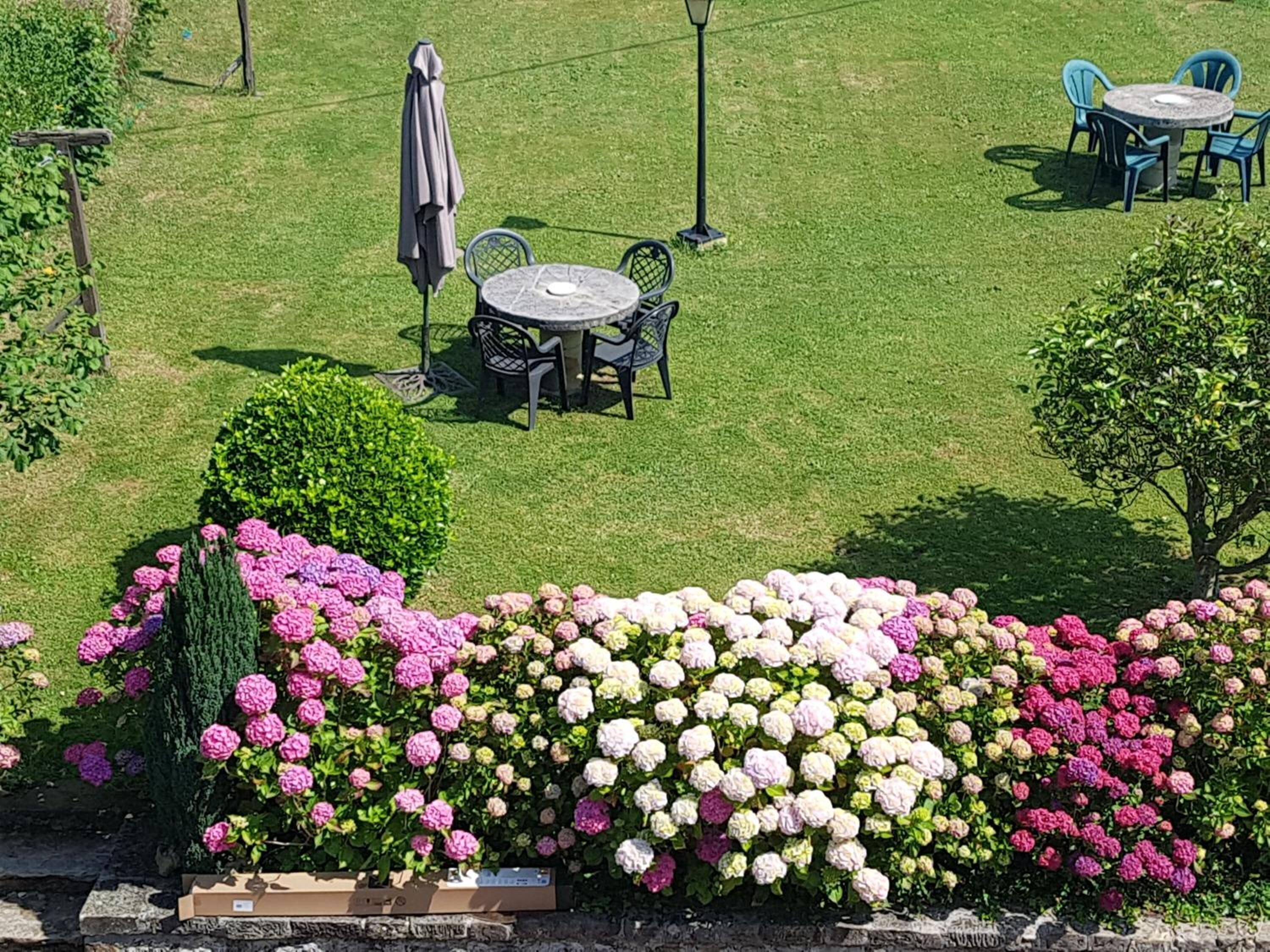 Foto - Pensión Castio