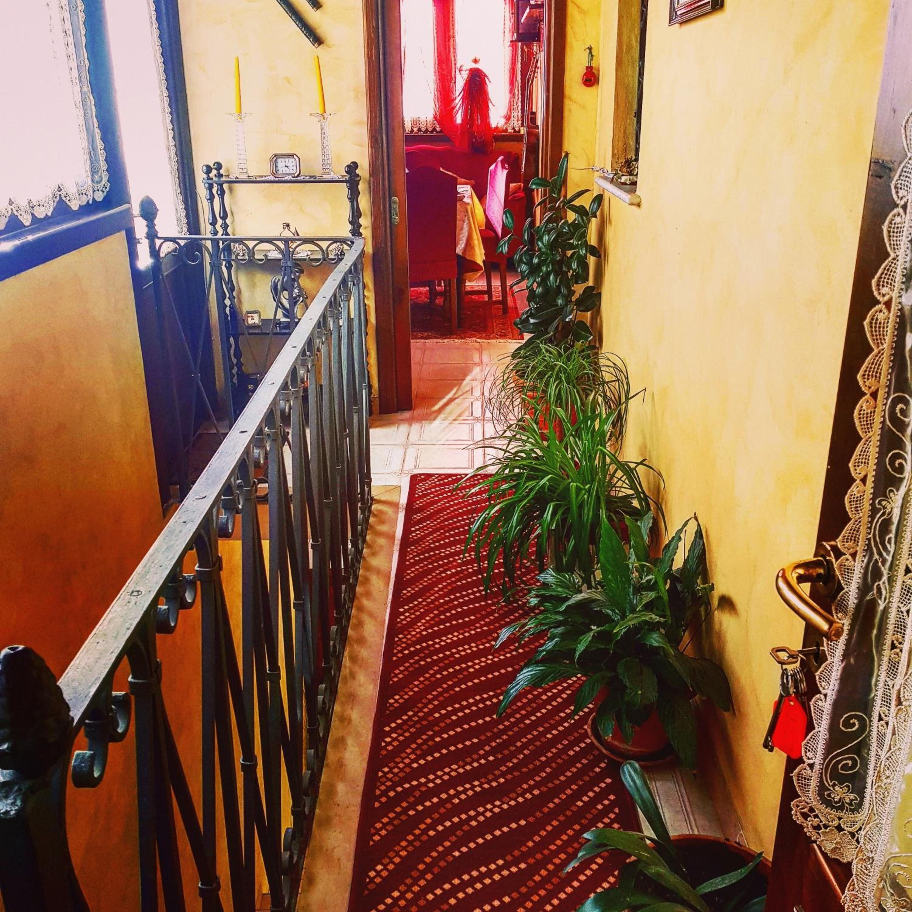 A narrow hallway with a red patterned carpet, metal railings, and potted plants.