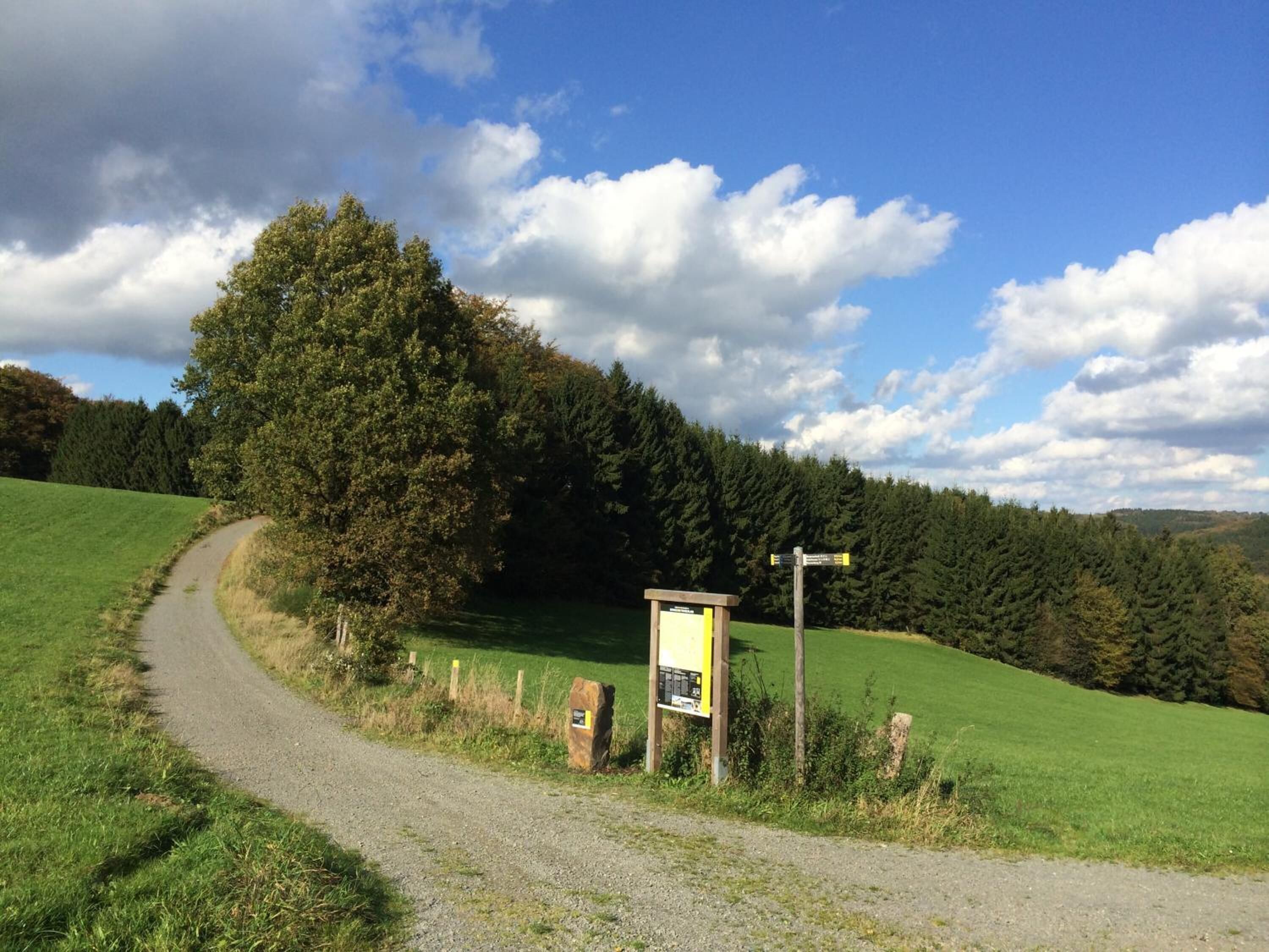 A rural road curving through a green landscape with a wooden signpost and a small shelter.