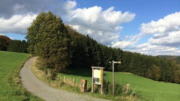 A rural road curving through a green landscape with a wooden signpost and a small shelter.
