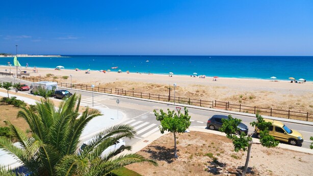 A coastal road with a beach in the background, palm trees, and parked cars.