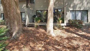Unclassified image, 2 of 4, button - Greens 165 (Hilton Head Island)