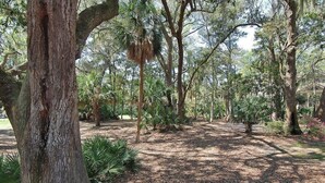 Unclassified image, 3 of 4, button - Greens 165 (Hilton Head Island)