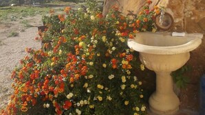 Un jardin agrémenté de diverses variétés de fleurs, d’un mur en pierre et d’une fontaine en pierre.