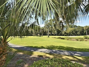 Golf - Turnberry 218 (Hilton Head Island)